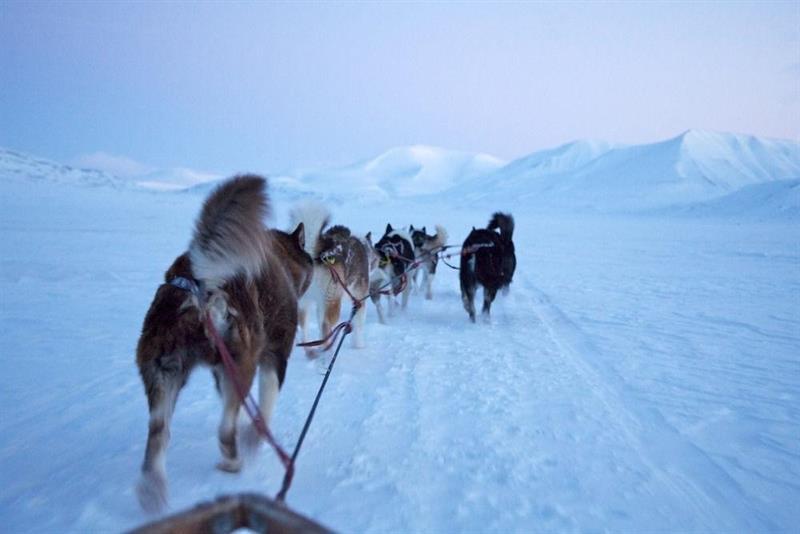 Funken Lodge Longyearbyen Eksteriør billede